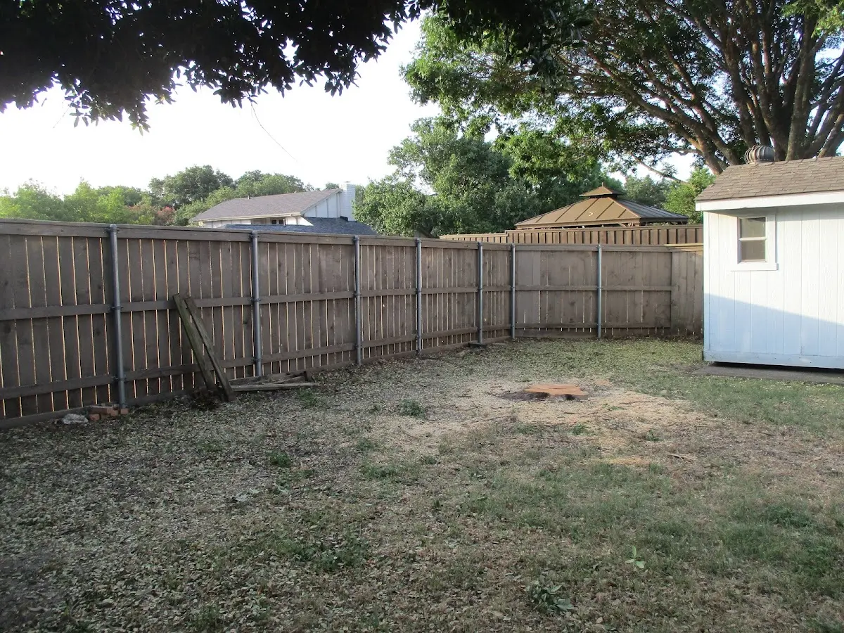 Cleared yard after professional tree removal in Robertsville
